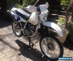 Honda XR250R 1995 Trailbike for Sale