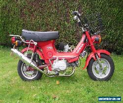 HONDA CF70 CHALY 1982 Y REG for Sale