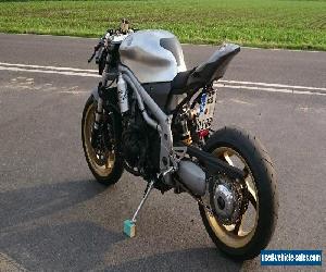 Triumph Daytona cafe racer, no speed triple, streetfighter, caferacer