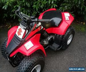 SUZUKI LT80 LT 80 QUAD BIKE EXCELLENT ORIGINAL CONDITION P/EX AVAILABLE