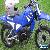 YAMAHA PEE WEE 80 MOTORBIKE 2008 IN EXCELLENT CLEAN CONDITION, PEEWEE 80 YAMAHA. for Sale