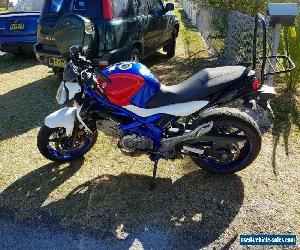 LAMS 650  Suzuki gladious 650 / SFV 650