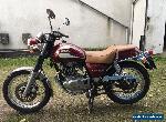 1999 SUZUKI TU250X Super Classic TU 250. Very easy project. Can Deliver! for Sale