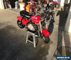 1972 Honda QA50 for Sale