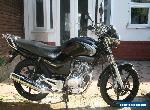 Yamaha YBR 125 Black 2007  for Sale