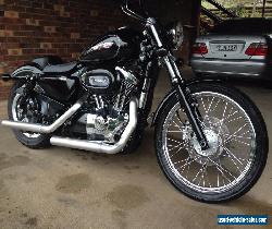 Harley Davidson Sportster. 2008 Custom.  for Sale