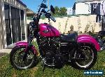 Harley Davidson 883 Custom Anniversary sportster for Sale