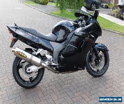 Honda Blackbird cbr1100xx - Straight Bars/Akrapovic Exhaust/Etc... for Sale