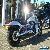 2003 Harley-Davidson Vrsca V-ROD 1130CC Cruiser for Sale