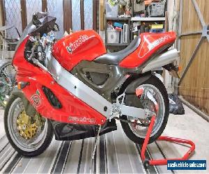 Bimota SB6R stunning Condition