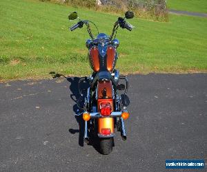 2015 Harley-Davidson Softail