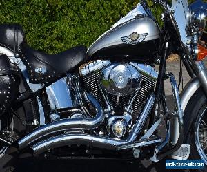 2003 Harley-Davidson Softail