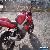 2000 HONDA VTR 1000 FIRESTORM for Sale