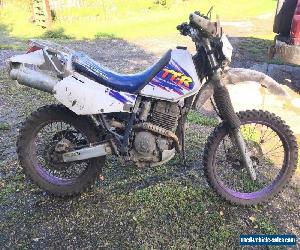 Yamaha TTR250 spares or repair, Barn find,project