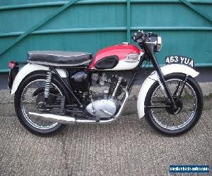 Triumph Tiger Cub 1961