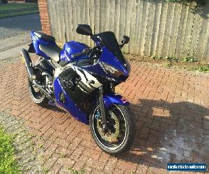 2003 YAMAHA R6 BLUE  NO EXPENSE SPARED, Final reduction for quick sale no offers