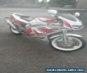 Barn find FZR600 1991