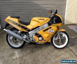 1990 Yamaha FZR400