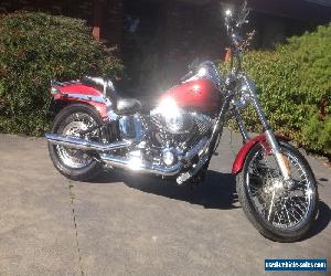 Harley softail custom  for Sale