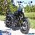 2017 Harley-Davidson Softail for Sale