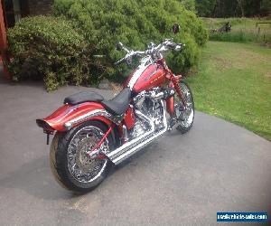 Harley Springer