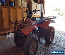 SUZUKI QUAD LTF250 QUADRUNNER for Sale