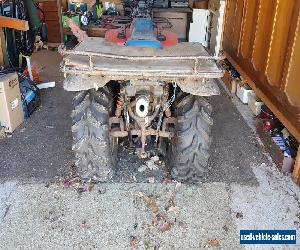 SUZUKI QUAD LTF250 QUADRUNNER