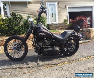 2007 Harley-Davidson Softail