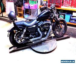 Harley Davidson Iron 883  for Sale