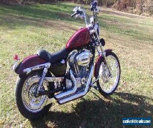 2005 Harley-Davidson Sportster