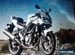 suzuki sv650 lams approved 2009 for Sale