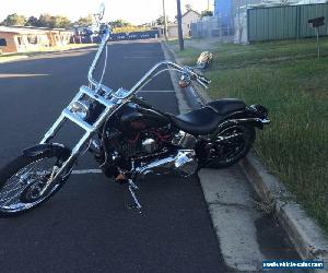 Harley Davidson soft tail custom  for Sale