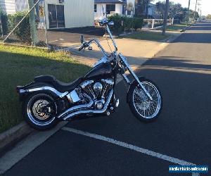 Harley Davidson soft tail custom 