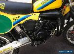 SUZUKI RM250X - 1981  RESTORED  for Sale