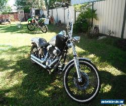 Harley davidson softail for Sale