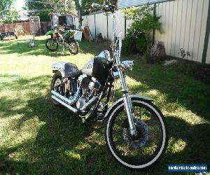 Harley davidson softail for Sale