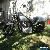 Harley davidson softail for Sale