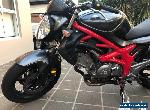 Suzuki gladius  for Sale