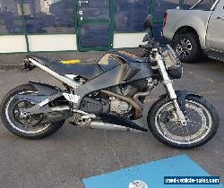 2005 Buell Lightning XB12S with NSW REGO till 09/18 for Sale