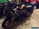 2004 Buell Firebolt for Sale