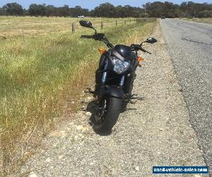 Honda Motorcycle 2014 CTX 700N