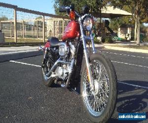 2000 Harley-Davidson Sportster