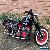 Harley Davidson Softail for Sale