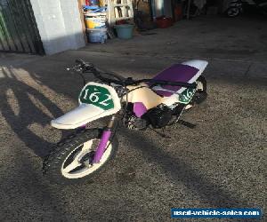 YAMAHA PEEWEE 50 GREAT CONDITION RUNS WELL KIDS OUT GROWN BIKE