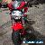 Ducati Monster 696+ 2009 for Sale