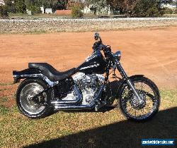 2011 FXST Harley Davidson for Sale