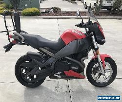 BUELL XB12 XB12XT ULYSSES 09/2008 MODEL 74809KMS MAKE AN OFFER for Sale