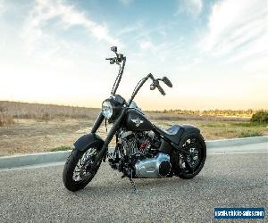 2010 Harley-Davidson Softail