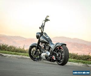 2010 Harley-Davidson Softail