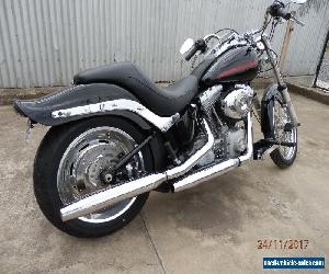 2010 Harley Davidson Softail